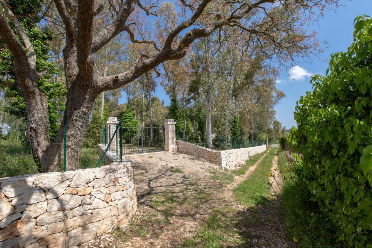 Silent Place مارتينا فرانكا المظهر الخارجي الصورة